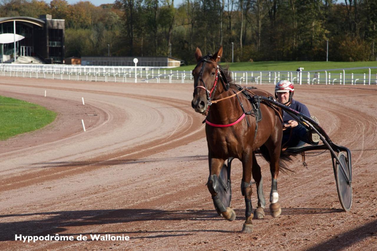 Le Lodges Quievrain Buitenkant foto
