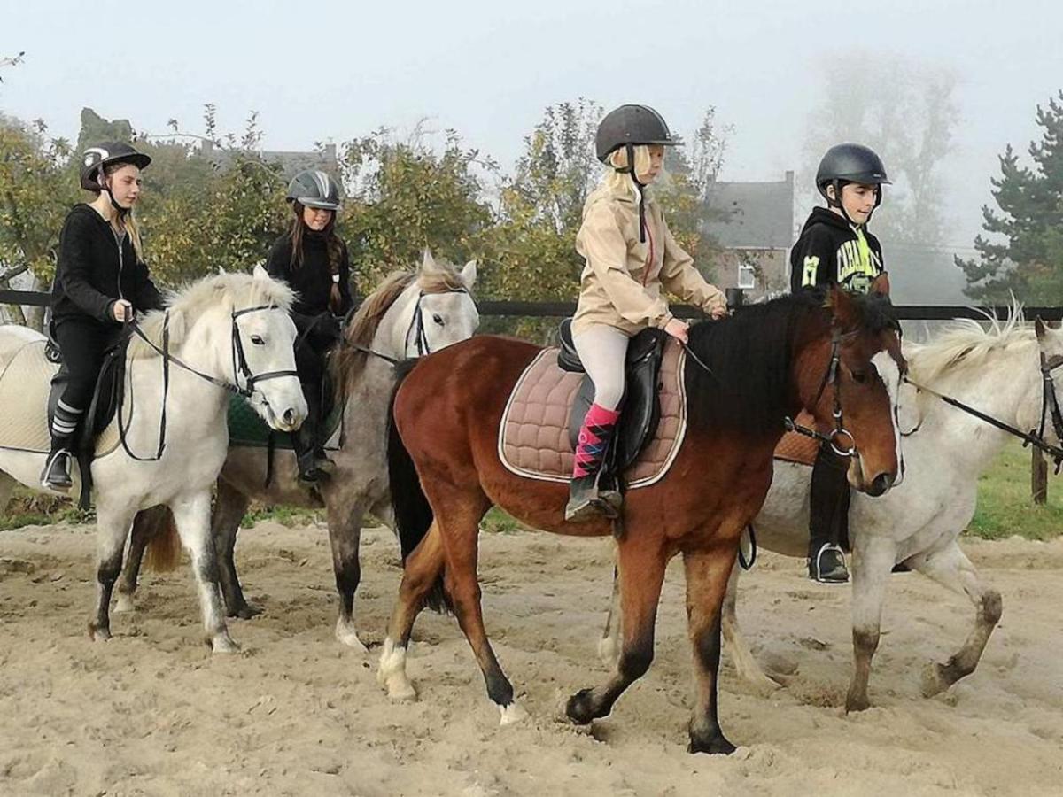 Le Lodges Quievrain Buitenkant foto